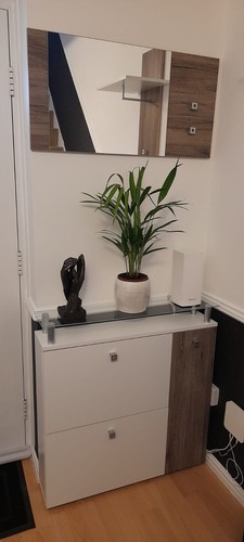 Cohn hall shoe storage mirror - cohn,